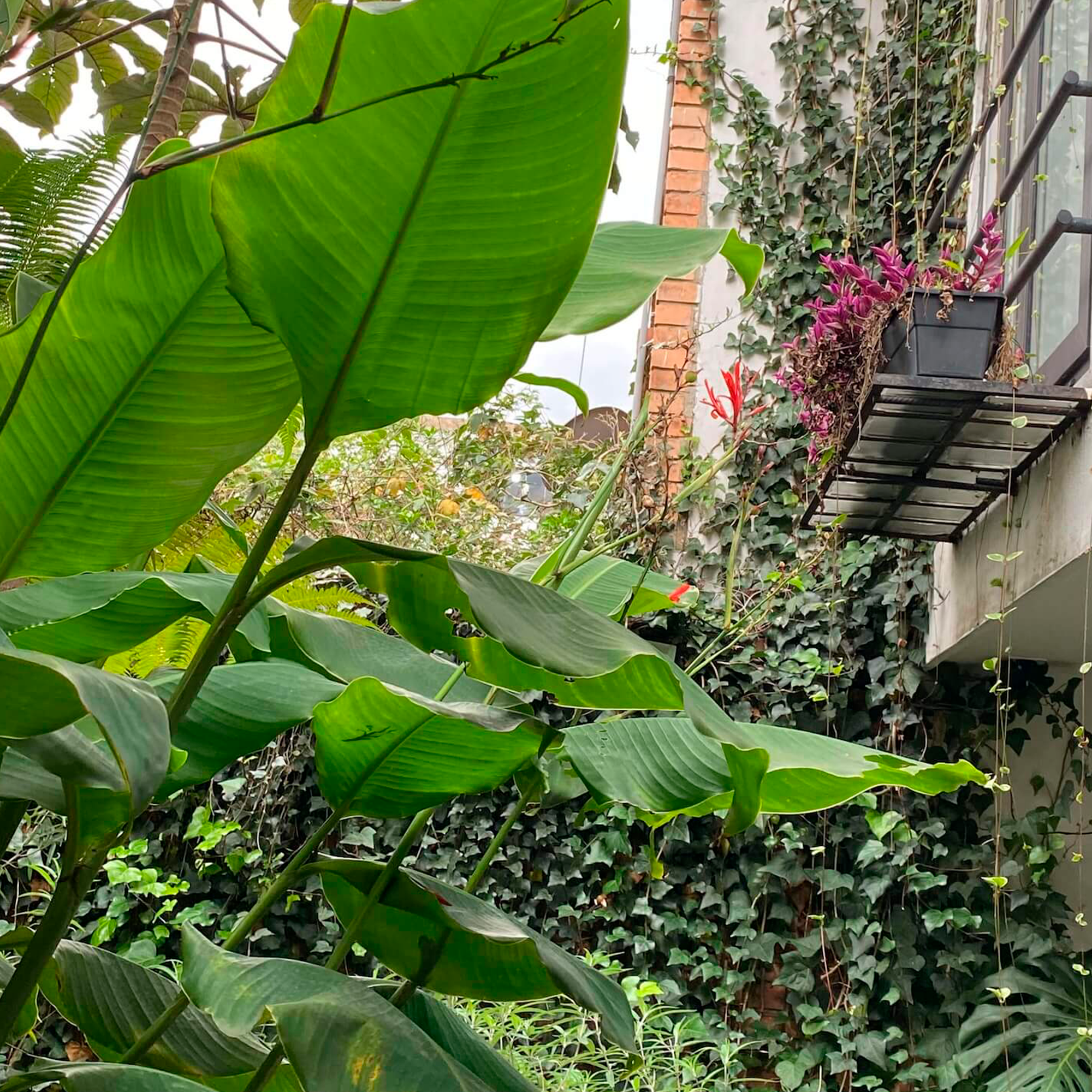MEJOR-HOTEL-CHAPINERO-BOGOTA-LUCITANIA-BOUTIQUE-PRECIO-BUENO-4